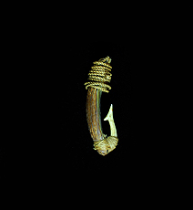 Maori Fish Hook - Michael Evans Tribal Art